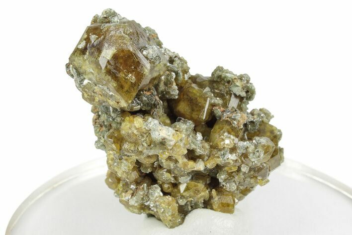 Yellow Andradite-Grossular Garnet Cluster with Clinochlore - Mali #245212